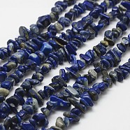Natural Lapis Lazuli Beads Strands, Chip, Blue, 3~5x7~13x2~4mm, Hole: 0.4mm, 32 inch(G-F328-21)