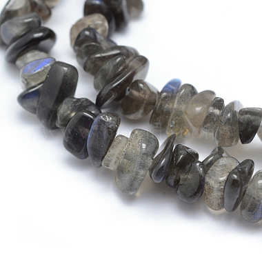 Natural Labradorite Beads Strands(G-P332-54)-3