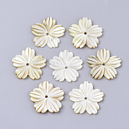 Yellow Shell Beads, 3d Flower, Pale Goldenrod, 20.5x21x2mm, Hole: 1.5mm(SSHEL-S251-37)