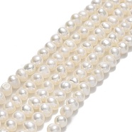 Natural Cultured Freshwater Pearl Beads Strands, Potato, Beige, 4~6x5~7x5~6mm, Hole: 0.7mm, about 67~71pcs/strand, 13.58~14.25 inch(34.5~36.2cm)(PEAR-F018-17A-01)