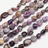 Natural Charoite Bead Strands, Tumbled Stone, Nuggets, 3~14x3~14mm, Hole: 1mm, about 15.35 inch(G-L459-02)