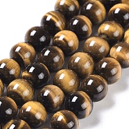 Natural Tiger Eye Round Bead Strands, Grade A+, 8mm, Hole: 1mm, about 50pcs/strand, 15.5 inch(G-L411-07-8mm)