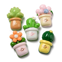 Opaque Resin Plant Cabochons, Cactus Pot, Mixed Shapes, Mixed Color, 30.5~33.5x17~23x10.5~12.5mm(RESI-Z019-04)