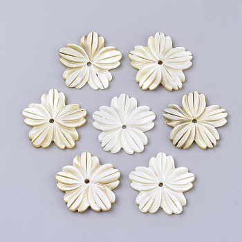 Yellow Shell Beads, 3d Flower, Pale Goldenrod, 20.5x21x2mm, Hole: 1.5mm