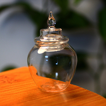 Mini Glass Jar, Canister, with Lid, for Dollhouse Accessories Pretending Prop Decorations, Clear, 30x48mm