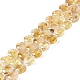 Natural Citrine Beads Strands(G-N342-10)-1