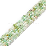 Natural Chrysoprase Beads Strands, Faceted, Round, 3mm, Hole: 0.6mm, about 116pcs/strand, 15.35~15.59 inch(390~396mm)(G-M390-02)
