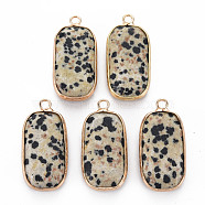 Natural Dalmatian Jasper Pendants, with Golden Plated Brass Edge and Loop, Rectangle, 31.5x15x6~7mm, Hole: 2.5mm(G-S359-292C)