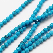 Synthetic Chinese Turquoise Bead Strands, Faceted Round, 2mm, Hole: 0.8mm, about 190pcs/strand, 15.3 inch(G-A129-2mm-28)