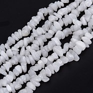 Natural White Jade Beads Strands, Chip, 3~16x3~8mm, Hole: 0.7mm, 32.28''(82cm)(G-G011-02)