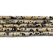 Natural Dalmatian Jasper Beads Strands, Column, 6x3mm, Hole: 0.8mm, about 59~60pcs/strand, 15.08~15.20''(38.3~38.6cm)(G-E612-B01)