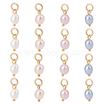 16Pcs 4 Colors Natural Freshwater Pearl Pendants, Potato Charms with Brass Jump Rings, Mixed Dyed & Undyed, Golden, 14~17mm, 4pcs/color(PALLOY-PH01737)