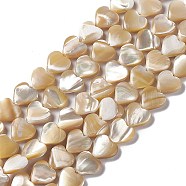 Natural Trochid Shell/Trochus Shell Beads Strands, Heart, Goldenrod, 8.5~9.5x10x3~3.5mm, Hole: 0.5~0.6mm, about 44pcs/strand, 15.16~15.35 inch(38.5~39cm)(SHEL-F003-08B)