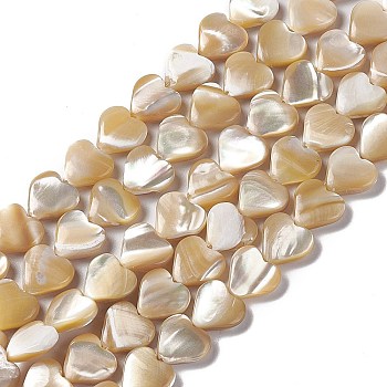 Natural Trochid Shell/Trochus Shell Beads Strands, Heart, Goldenrod, 8.5~9.5x10x3~3.5mm, Hole: 0.5~0.6mm, about 44pcs/strand, 15.16~15.35 inch(38.5~39cm)