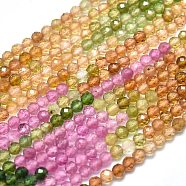 Natural Tourmaline Beads Strands, Faceted, Round, Mixed Color, 2.5mm, Hole: 0.5mm, about 158pcs/strand, 15.55 inch(39.5cm)(G-I289-03)