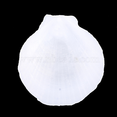 Shell Beads(SSHEL-T005-07B)-2