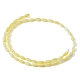eau douce naturelle de coquillage perles brins(SHEL-C010-01B)-3
