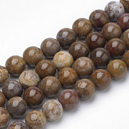 Natural Petrified Wood Beads Strands, Round, 6~6.5mm, Hole: 1mm, about 63pcs/strand, 15.5 inch(G-Q462-136-6mm)