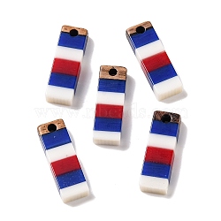 Independence Day Opaque Striped Resin & Walnut Wood Pendants, Geometric Charms, Rectangle, 19.9x6.5x3.4mm, Hole: 1.8mm(RESI-U010-01A)