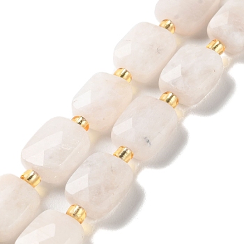 Natural Rainbow Moonstone Beads Strands, Faceted, Rectangle, 10x8x4.5mm, Hole: 1mm, about 31pcs/strand, 15.35''(39cm)