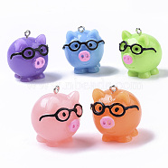 Resin Pendants, with Platinum Tone Iron Loop, Pig with Glasses, Mixed Color, 28x24x28mm, Hole: 1.8mm(RESI-R426-11)