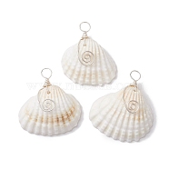 Natural Ark Shell Copper Wire Wrapped Pendants, Shell Shape Charms, Silver, 28~35x26~32.5x10.5~14.5mm, Hole: 3.5mm(PALLOY-JF02678-02)