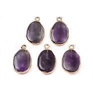 Natural Amethyst Pendants, with Light Gold Plated Brass Findings, Oval, 22~22.5x13~13.5x4.5~5mm, Hole: 1.6mm(G-N326-130-06)