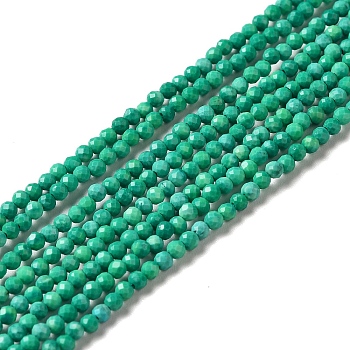 Natural Howlite Beads Strands, Dyed, Faceted, Round, Green, 2mm, Hole: 0.6mm, about 198pcs/strand, 15.20 inch(38.6cm)