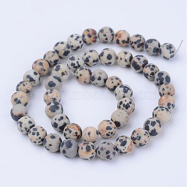 Natural Dalmatian Jasper Beads Strands(G-Q462-6mm-05)-2