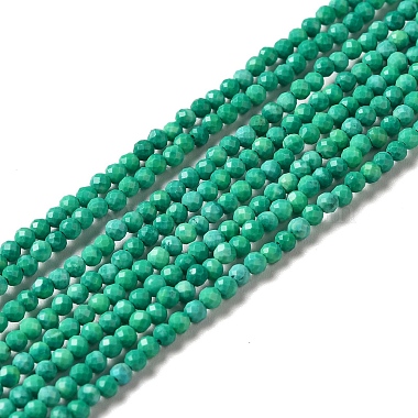 Green Round Howlite Beads