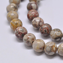 Natural Maifanite/Maifan Stone Beads Strands, Round, 6mm, Hole: 1mm, about 62pcs/strand, 15.1 inch(G-F353-6mm)