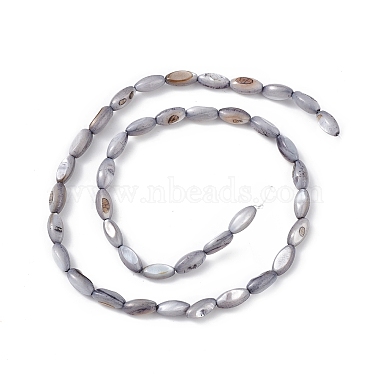Natural Freshwater Shell Dyed Beads Strands(SHEL-M018-13-04)-2
