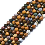 Natural Ocean Jasper Beads Strands, Round, 8mm, Hole: 1mm, about 48pcs/strand, 15.55 inch(39.5cm)(G-F715-112B)