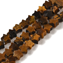 Natural Tiger Eye Beads Strands, Star, 4x4.5x2mm, Hole: 0.8mm, about 102pcs/strand, 15.35 inch(39cm)(G-G085-B03-01)