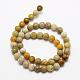 Natural Fossil Coral Beads Strands(G-K194-6mm-05)-2