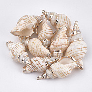 Electroplate Spiral Shell Pendants, with Iron Findings, Golden, Seashell Color, 27~41x13~20x12~18mm, Hole: 1.5~1.8mm(X-SSHEL-T009-13)