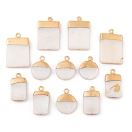 Electroplate Natural Freshwater Shell Pendants, with Golden Plated Brass Findings, Flat Round & Rectangle & Rhombus, Seashell Color, 12pcs/box(SHEL-TA0001-05)