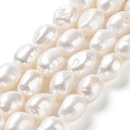 Natural Cultured Freshwater Pearl Beads Strands, Two Side Polished, Grade 5A, Seashell Color, 13~14x10~11x8~9mm, Hole: 0.6mm, about 32~36pcs/strand, 15.55''(39.5~40.5cm)(PEAR-Z002-13)