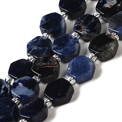 Natural Sodalite Beads Strands, Hexagon, with Seed Beads, 8.5~9x8.5~10x4~5mm, Hole: 1mm, about 37~38pcs/strand, 15.55''~15.75''(39.5~40cm)(G-P534-A11-02)