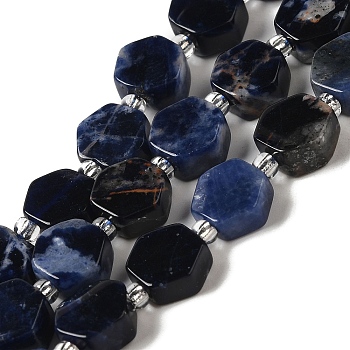 Natural Sodalite Beads Strands, Hexagon, with Seed Beads, 8.5~9x8.5~10x4~5mm, Hole: 1mm, about 37~38pcs/strand, 15.55''~15.75''(39.5~40cm)