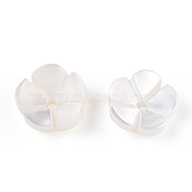 Natural White Shell Beads(SSHEL-S260-053)-4