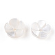 Natural White Shell Beads(SSHEL-S260-053)-4