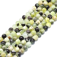 Natural Serpentine Beads Strands, Round, 8.5~9mm, Hole: 1mm, about 47pcs/strand, 15.55 inch(39.5cm)(G-F715-110B)