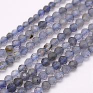 Natural Cordierite/Iolite/Dichroite Beads Strands, Grade A, Faceted, Round, 3mm, Hole: 0.5mm, about 132pcs/strand, 15.7 inch(40cm)(G-F509-15-3mm)