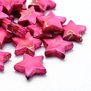 Drawbench Acrylic Beads, Spray Painted, Star, Hot Pink, 13.5x14.5x4mm, Hole: 1mm, about 1200pcs/500g(MACR-K331-31B)