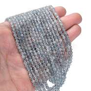 Natural Aquamarine Beads Strands, Faceted, Round, 4mm, Hole: 0.5mm, about 102pcs/strand, 15.35 inch(39cm)(G-F509-02-4mm)