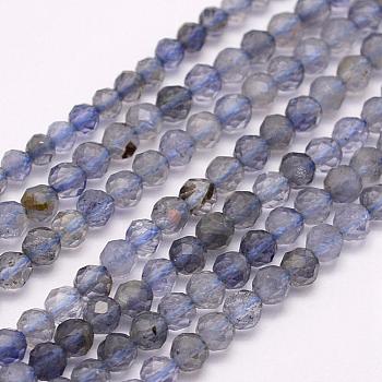Natural Cordierite/Iolite/Dichroite Beads Strands, Grade A, Faceted, Round, 3mm, Hole: 0.5mm, about 132pcs/strand, 15.7 inch(40cm)