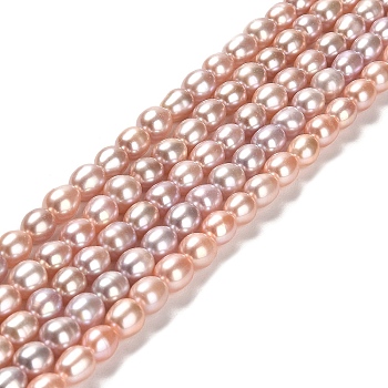 Natural Cultured Freshwater Pearl Beads Strands, Rice, Grade 4A+, Dark Salmon, 6~8x5~6mm, Hole: 0.5mm, about 54pcs/strand, 14.65''(37.2cm)