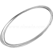 Brass Guitar Fret Wire, Fretwire for Electric Guitar Bass Fingerboard Replacement, Silver Color Plated, 2.9mm, about 4m/bag(FIND-BC0003-30)