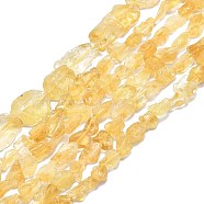 Raw Rough Natural Citrine Beads Strands, Nuggets, 6~27x4~17x3.5~8mm, Hole: 1mm, about 23~46pcs/strand, 15.35 inch(39cm)(G-I279-B17)
